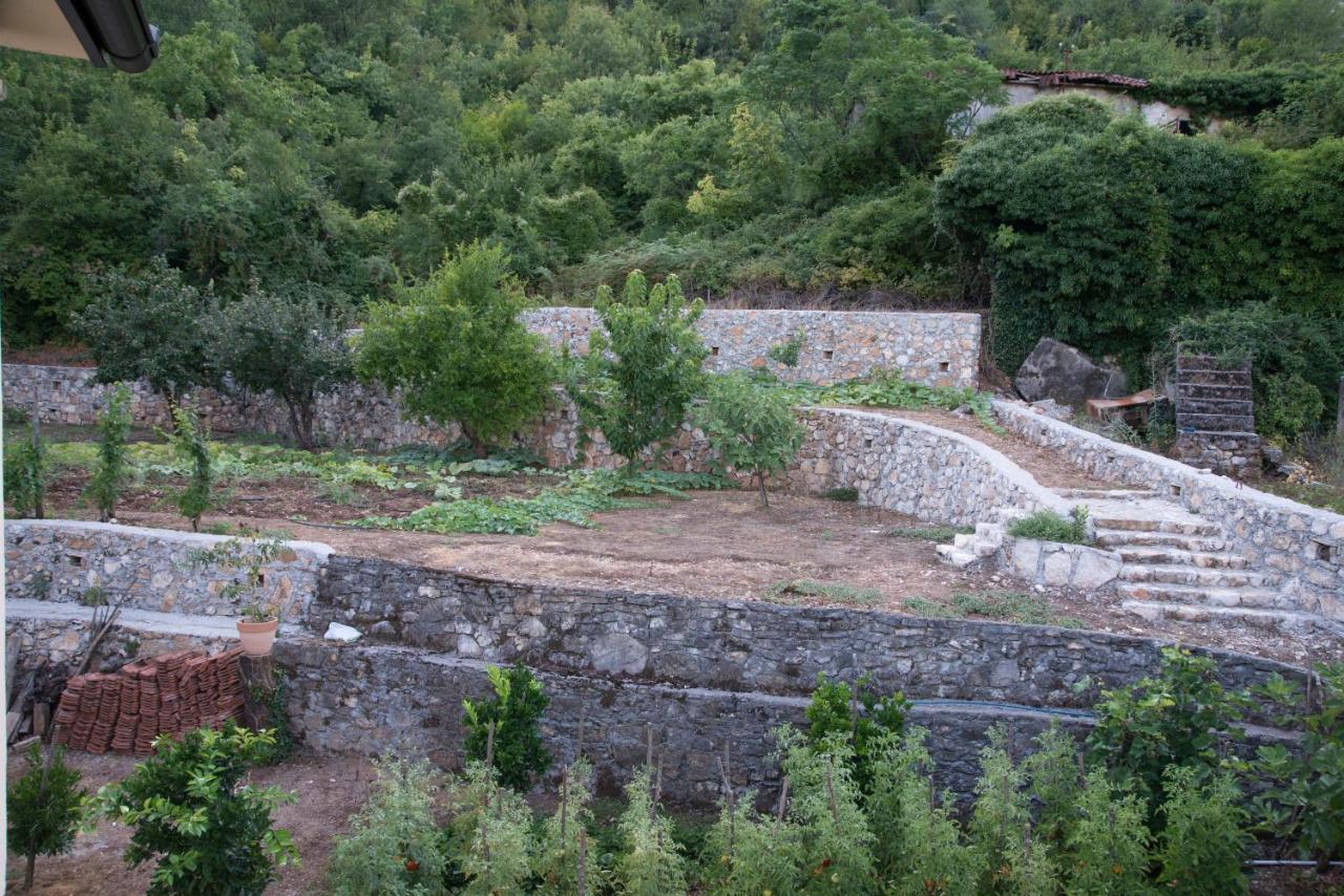 Village House Dunja Virpazar Dış mekan fotoğraf